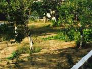 Satılır 12 sot torpaq Şamaxı