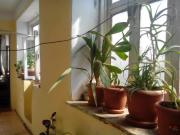 Satılır 4 otaqlı 74 m2 köhnə tikili Şirvan