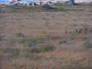 Satılır 44 sot torpaq Binəqədi