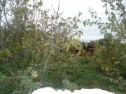 Satılır 300 sot torpaq Zabrat 2