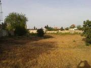 Satılır 15 sot torpaq Digah