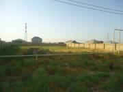 Satılır 600 sot torpaq Zabrat 2