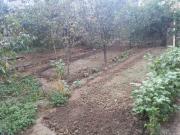 Satılır 2 sot torpaq Biləcəri