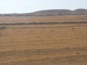 Satılır 8 sot torpaq Qobu