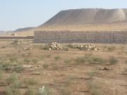 Satılır 8 sot torpaq Qobu