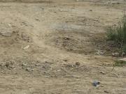 Satılır 4 sot torpaq Zabrat 2