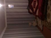 Satılır 2 otaqlı 50 m2 bağ evi Əmircan