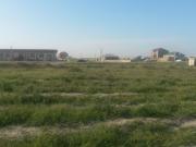Satılır 80 sot torpaq Məhəmmədli