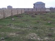 Satılır 350 sot torpaq Saray