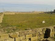 Satılır 600 sot torpaq Görədil