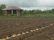 Satılır 250 sot torpaq Quba