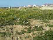 Satılır 3.56 sot torpaq Mehdiabad