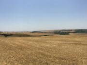 Satılır 314 sot torpaq Şamaxı