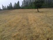 Satılır 106 sot torpaq Qusar