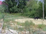 Satılır 10 sot torpaq İnşaatçılar m.