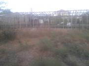 Satılır 6 sot torpaq Zabrat 2