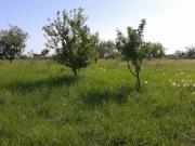 Satılır 8 sot torpaq Quba