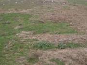 Satılır 5 sot torpaq Binə