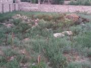 Satılır 2 sot torpaq Bakıxanov