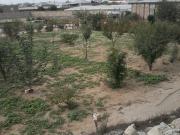 Satılır 3 otaqlı 60 m2 bağ evi Digah