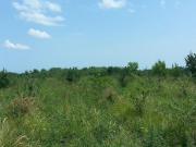 Satılır 92 sot torpaq Quba