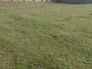 Satılır 600 sot torpaq Sulutəpə