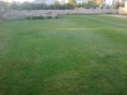 Satılır 8 sot torpaq Binə