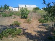 Satılır 22 sot torpaq Albalı