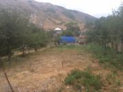 Satılır 24 sot torpaq Xızı