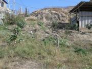 Satılır 600 sot torpaq Sulutəpə