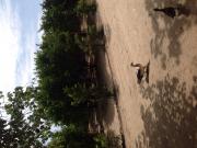 Satılır 0 sot torpaq Pirşağı