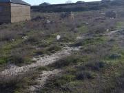 Satılır 4 sot torpaq Biləcəri