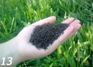 Satılır 2 sot torpaq Y.Suraxanı