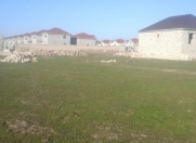 Satılır 8 sot torpaq Qobu