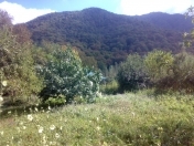 Satılır 12 sot torpaq İsmayıllı