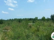 Satılır 2800 sot torpaq Quba