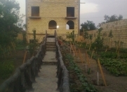 Satılır 50 sot torpaq Saray