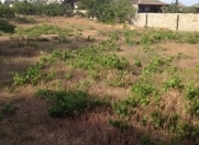 Satılır 24 sot torpaq Bilgəh