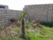 Satılır 6 sot torpaq Lənkəran