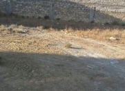 Satılır 2.5 sot torpaq Badamdar