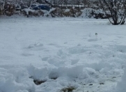 Satılır 6 sot torpaq Ucar