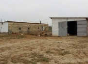 Satılır 1500 sot torpaq Hacıqabul