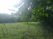 Satılır 10 sot torpaq Quba