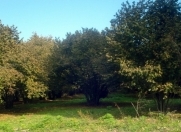 Satılır 30 sot torpaq Quba