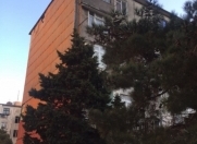 Satılır 2 otaqlı 50 m2 köhnə tikili 5 mkr