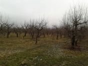 Satılır 1000 sot torpaq Quba