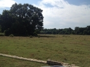 Satılır 1100 sot torpaq Xaçmaz