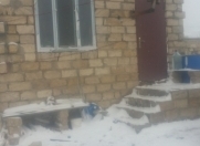 Satılır 1 otaqlı 4 m2 həyət evi Qobu