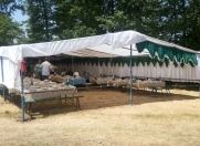 Satılır 1 otaqlı 240 m2 ofis İsmayıllı