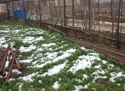 Satılır 2 sot torpaq Bülbülə